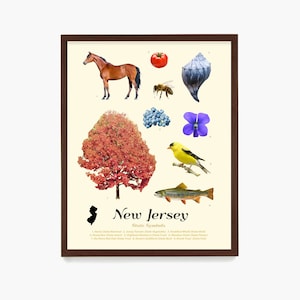 New Jersey State Symbols Poster, New Jersey Poster, New Jersey Wall Art, New Jersey Home Decor