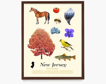 New Jersey State Symbols Poster, New Jersey Art, New Jersey Poster, New Jersey Wall Art, New Jersey Decor, Jersey Home