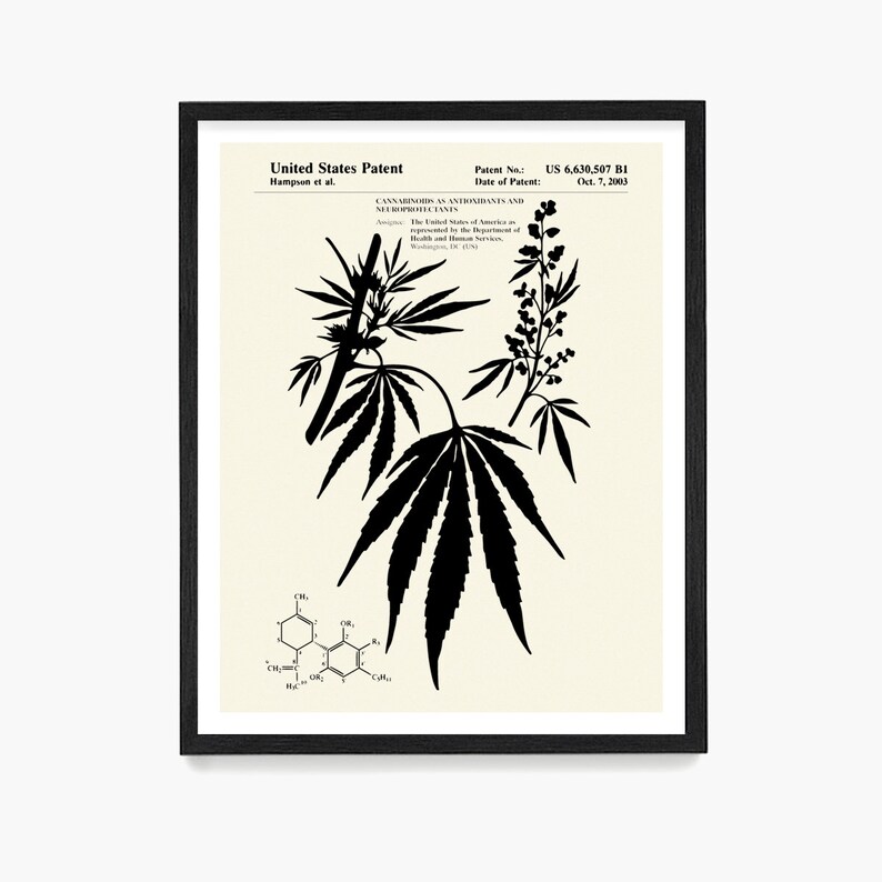 Cannabis Patent Print Marijuana Poster Medical Marijuana Etsy