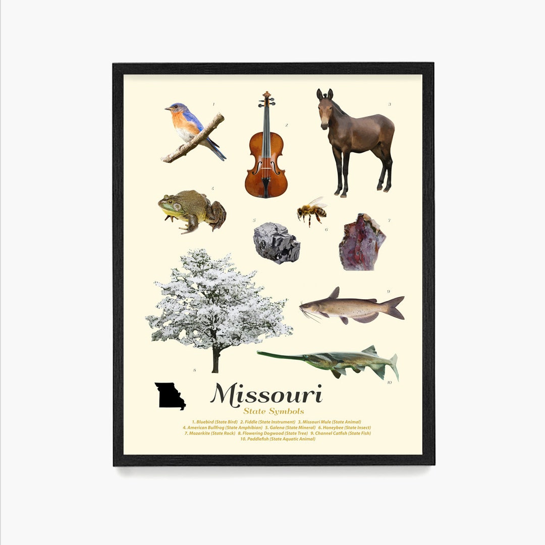 Missouri State Symbols Poster, Missouri Art, Missouri Poster, Missouri ...