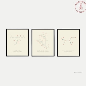 Beer Molecule Art Print Set: Science Kitchen Decor