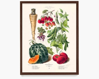 Könnte beinhalten: Eine Vintage-botanische Illustration mit einer Auswahl an Gemüse und Früchten. Die Illustration zeigt eine Pastinake, eine grün-weiß gestreifte Kürbis, eine halbierte orangefarbene Kürbis, eine Traube roter Beeren, grüne Bohnen und zwei rote Tomaten. Die Illustration ist mit "Gemuese-Anzucht" beschriftet und enthält eine nummerierte Liste der Pflanzen.