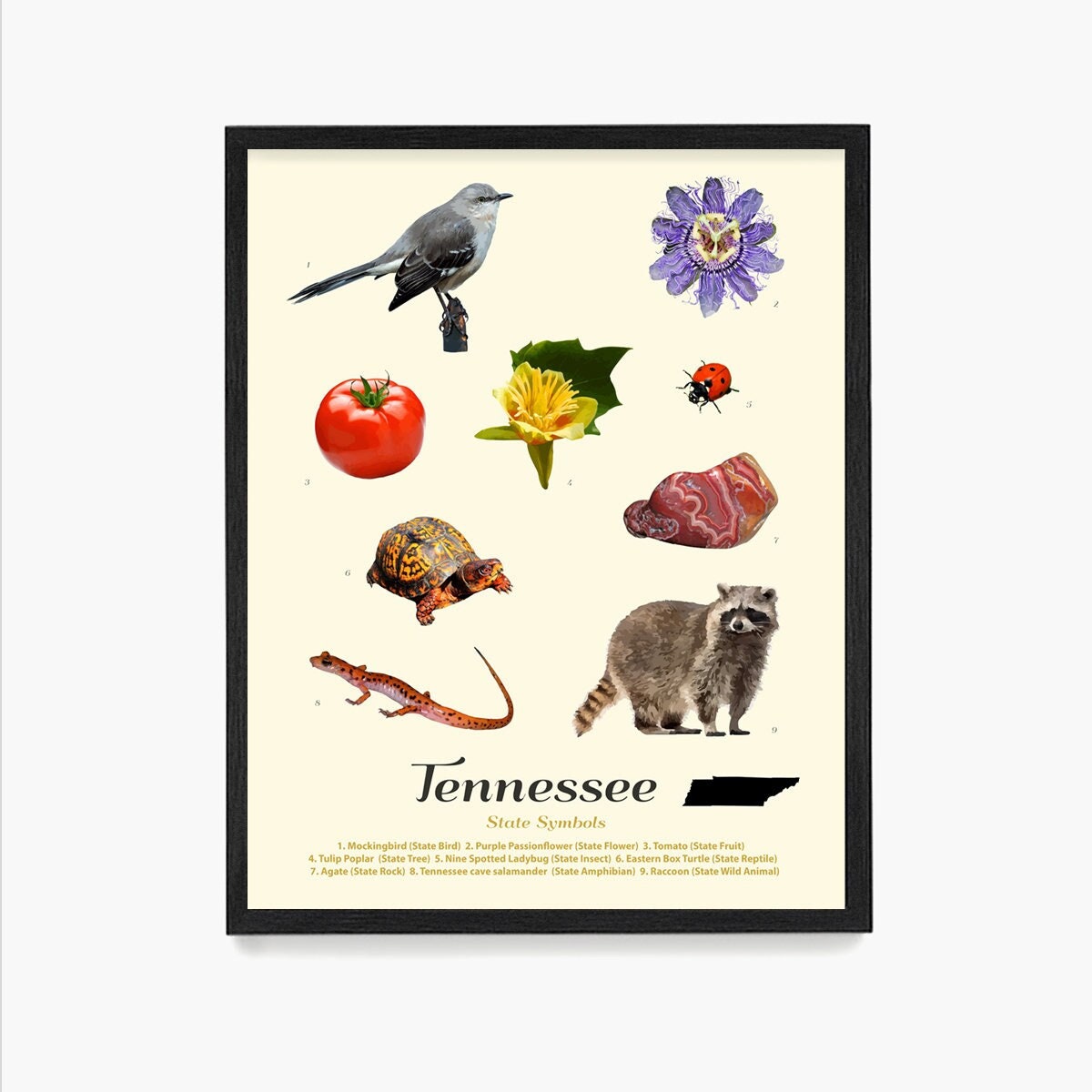 Tennessee State Symbols Art Print: Nashville Home Decor - Etsy