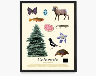 Colorado State Symbols Poster, Colorado Home Wall Art, Colorado Ecology Decor, Housewarming Gift, Denver, Colorado Springs