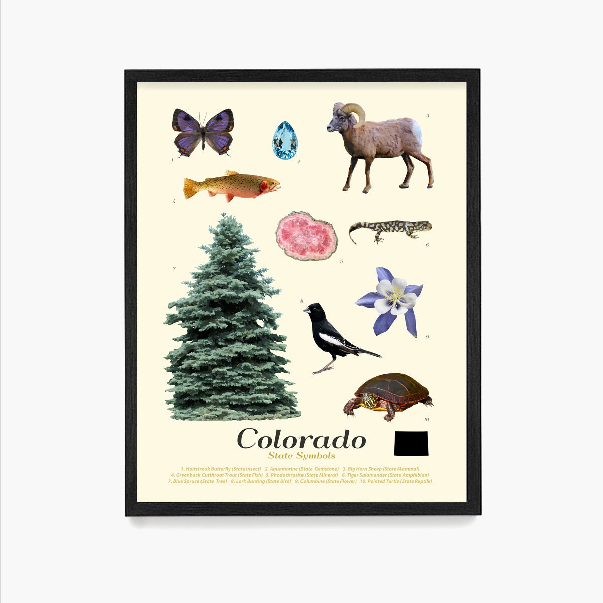colorado-state-symbols-poster-colorado-art-colorado-poster-etsy