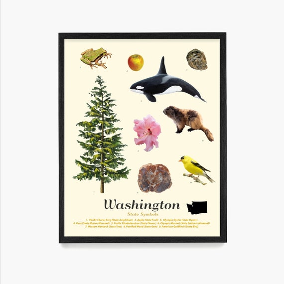 Washington State Symbols Poster Washington Wall Art - Etsy Washington State Symbols Poster Washington Wall Art - Etsy