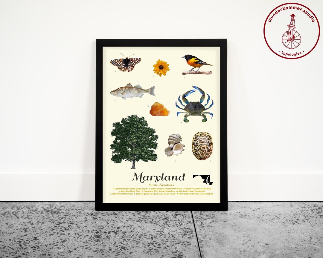 Maryland State Symbols Art Print: Typology Wall Decor - Etsy