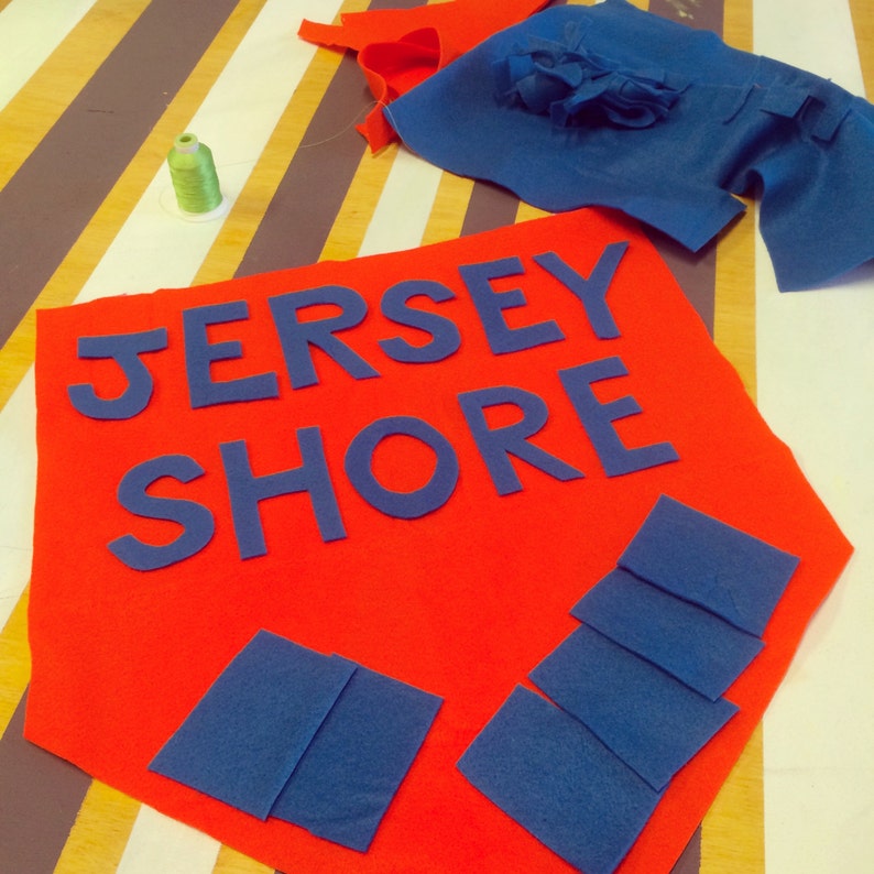 JERSEY SHORE OR Bust: Felt Banners, Wall Hangings image 3