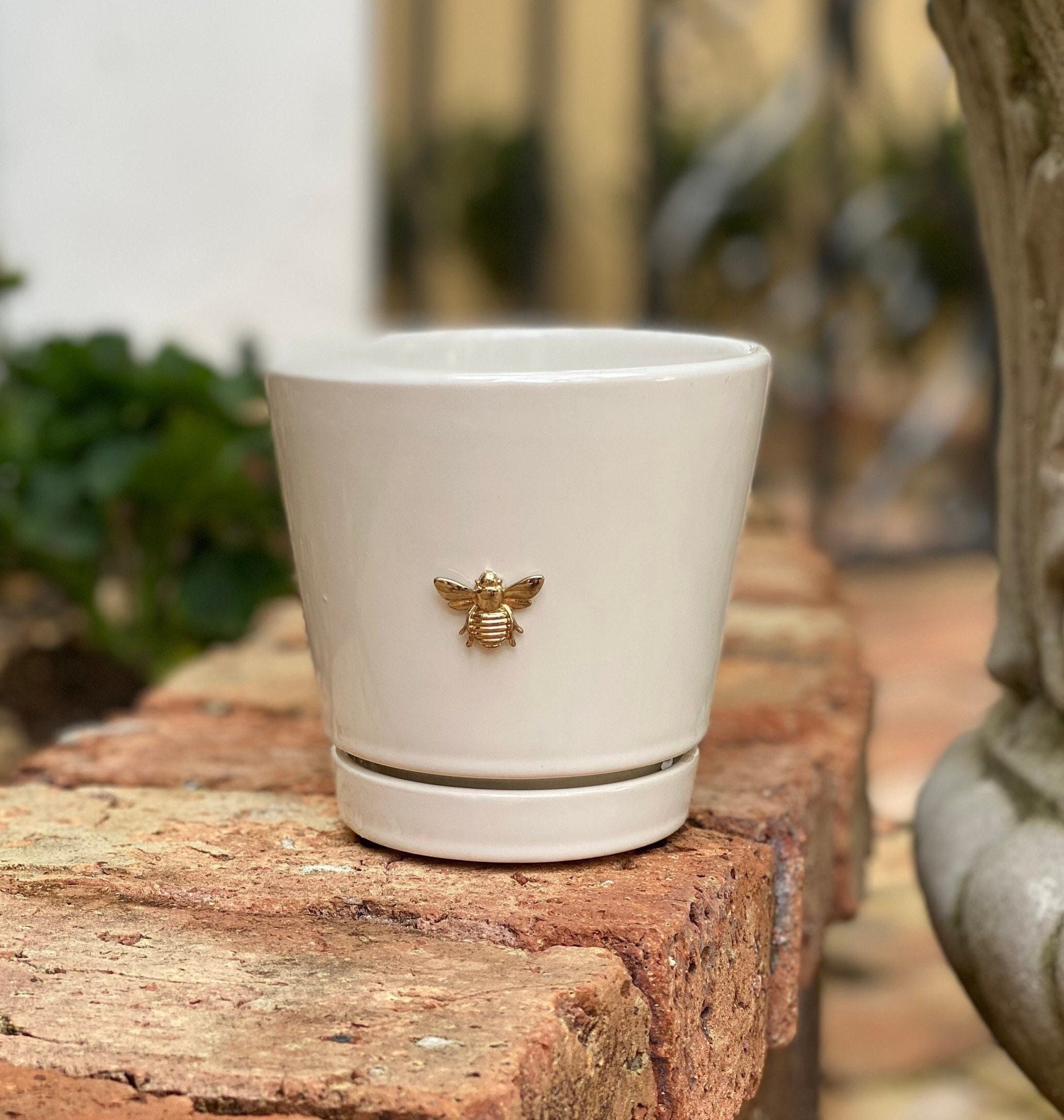 4" Ceramic Indoor Planter - Cream