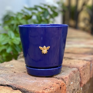 May include: A cobalt blue ceramic planter with a gold bee design. The planter has a drainage hole and a saucer.