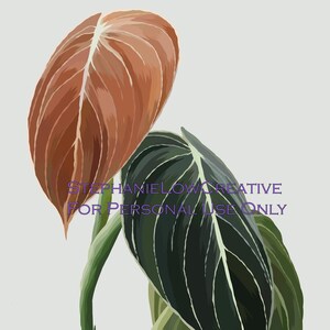 Foliage Botanical Art Digital Download - For Personal Use Only