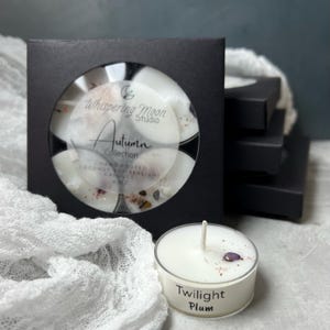 Hand Crafted Artisan Coconut Soy Crystal Infused Tealights - Coconut Soy Wax - Fall Collection - Variety 4 Pack