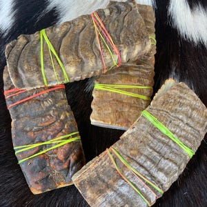Pode incluir: Quatro peças naturais para mastigar para cães, amarradas com elásticos coloridos. Os mastigáveis são em vários tons de castanho e bege, com uma superfície rugosa e estriada. O fundo é um padrão de pele de vaca em preto e branco.