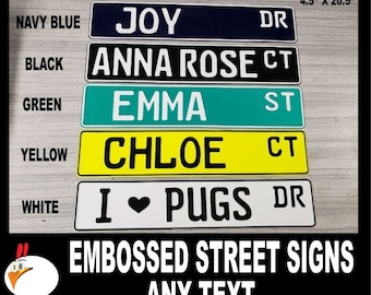 Custom Personalized Street Sign, All Aluminum, Embossed