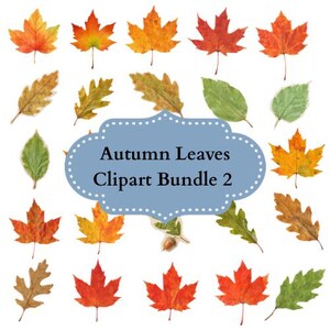 Pode incluir: Uma coleção de folhas de outono coloridas em tons de vermelho, laranja, amarelo e verde. As folhas são de várias formas e tamanhos, com veias e texturas detalhadas. A imagem inclui o texto "Autumn Leaves Clipart Bundle 2" em uma moldura azul.