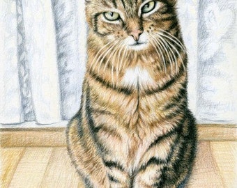 Der Stubentiger - faszinierende Zeichnung Katze - Kunstdruck Katzen Bild