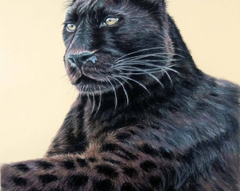 Panther Jaguar - Kunstdruck, naturnahe Zeichnung Panther Raubkatze