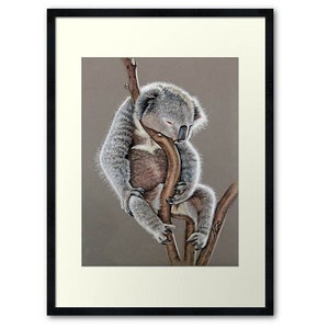 Koala Sleep Fine Art Print image 4