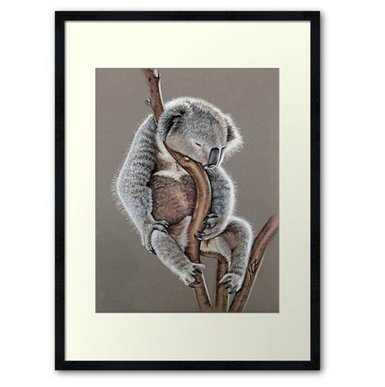 Koala Sleep Fine Art Print image 4