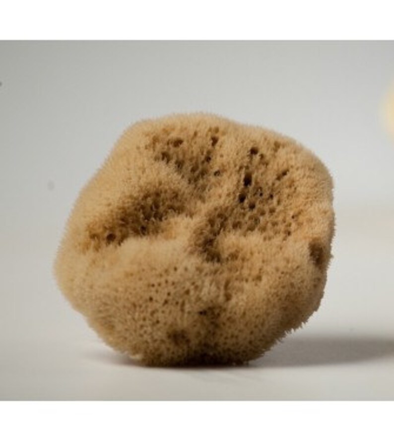 Bath Sponges & Loofahs