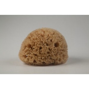 Natural mediterranean Honeycomb sea sponge 10-11.50cm / 4.-4.5 inches from Kalymnos/ natural color/ unbleached