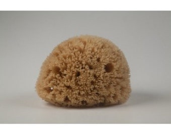 Natural mediterranean Honeycomb sea sponge 10-11.50cm / 4.-4.5 inches from Kalymnos/ natural color/ unbleached