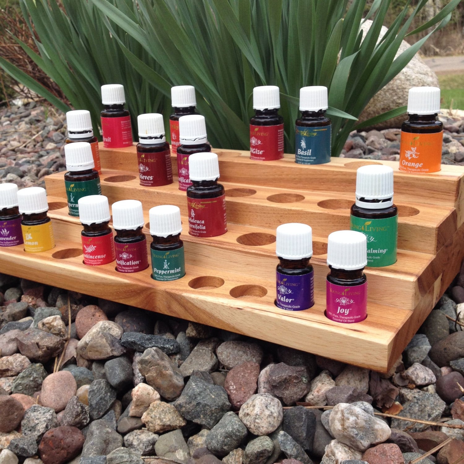 Essential Oil Holder Holds 35 bottles 5ml and 15ml size Etsy
