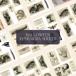Hojas de colección de efímeras digitales de Halloween Ilustraciones antiguas - Hojas de collage digitales