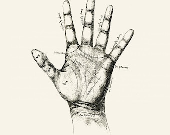 Palmistry Hand Image - Antique Occult Spirituality Illustration - DIGITAL DOWNLOAD