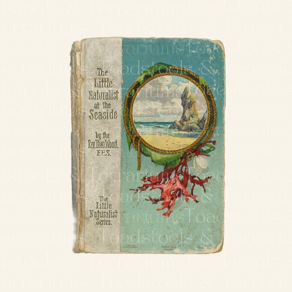 Antique Seaside Book Cover Graphic and Frame DIGITAL DOWNLOAD