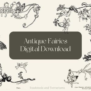 Vintage Fairies Clip Art Illustration - DIGITAL DOWNLOAD for Scrapbooking and Crafts