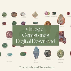 Vintage Gemstones Illustrations - from 1912 - DIGITAL DOWNLOAD for Scrapbooking and Crafts