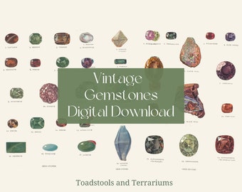 Vintage Gemstones Illustrations - from 1912 - DIGITAL DOWNLOAD for Scrapbooking and Crafts