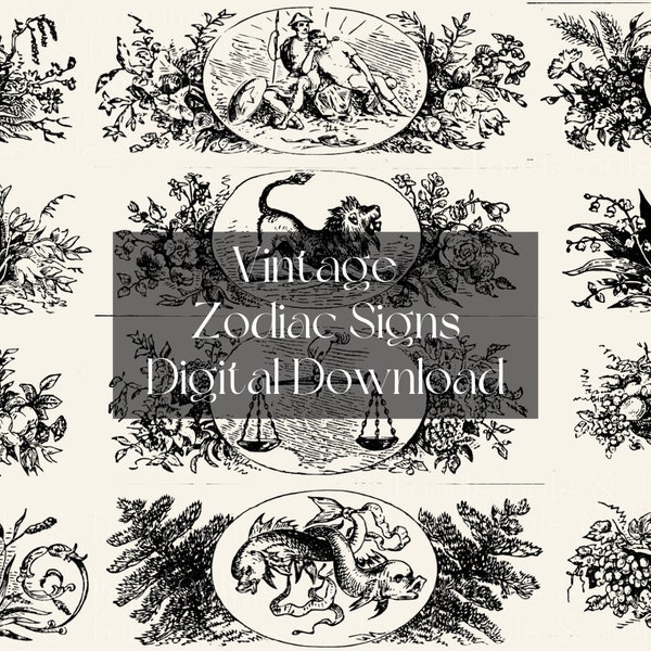 Antique Zodiac Signs - Antique Occult Spirituality Illustration - DIGITAL DOWNLOAD