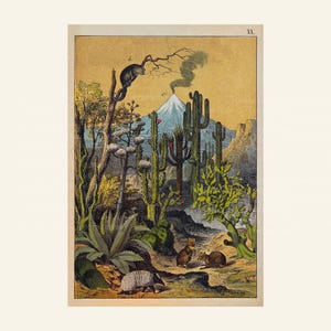 Illustrazione antica di scena del deserto - Arte cartolina d'epoca / Download digitale / PNG e JPG ad alta risoluzione