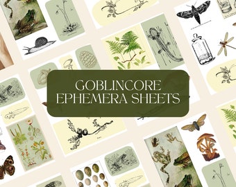 Goblincore Digital Ephemera Collection Ilustraciones antiguas de la naturaleza - Hojas de collage digitales