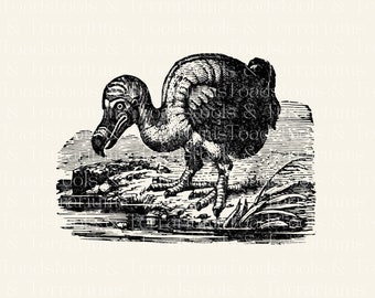 Dodo Bird Illustration Vintage Dodo Bird Clip Art- from 1919 - Digital Download for Scrapbooking and Crafts