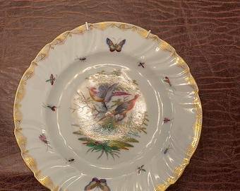 Richard Klemm Exotisk fågel och insekt Tyskland Dresden Samlartallrik, Vintage, Scenrekvisita, Film med tallrikshängare