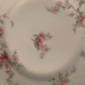 7  Haviland France and Limoges Plates and flower dishes dinner plates 6&quot; x 1&quot;