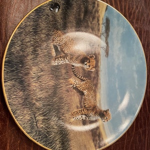 Recess African Leopards Natures  Playmates Collection by Charles Frace Collector Plate, Vintage Plates, Plate