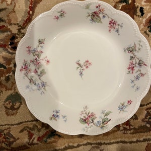 Haviland France und Limoges Servierplatte und Blume 14 &quot;x 13&quot; Platte hacken