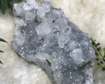 Op de afbeelding: Een cluster van heldere kwartskristallen op een grijze, blauw getinte, natuurlijke stenen basis. De kwartskristallen zijn in verschillende maten en vormen bij elkaar gegroepeerd.