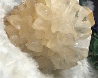 Op de afbeelding: Een cluster van doorschijnende, crèmekleurige calcietkristallen in rozetvorm. De kristallen zijn in lagen gerangschikt, waardoor een delicaat en ingewikkeld patroon ontstaat.