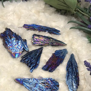 May include: A collection of seven iridescent blue, purple, and green kyanite crystals. The crystals are arranged on a white fluffy surface.