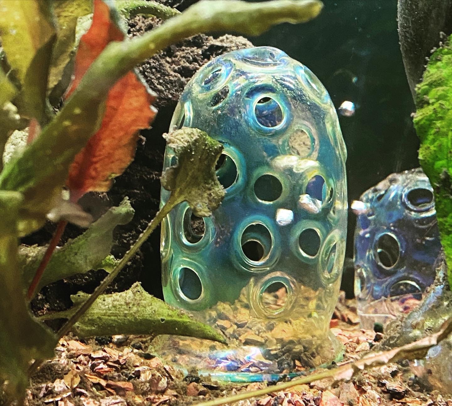 Hexagon Fish Tank for sale Only 3 left at 60