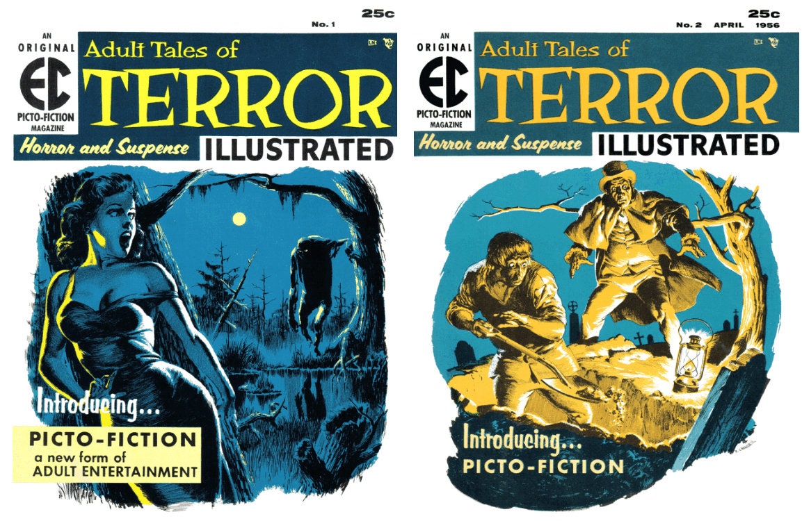 Terror Comics. Adventures Into Terror. Black Terror. Tales From