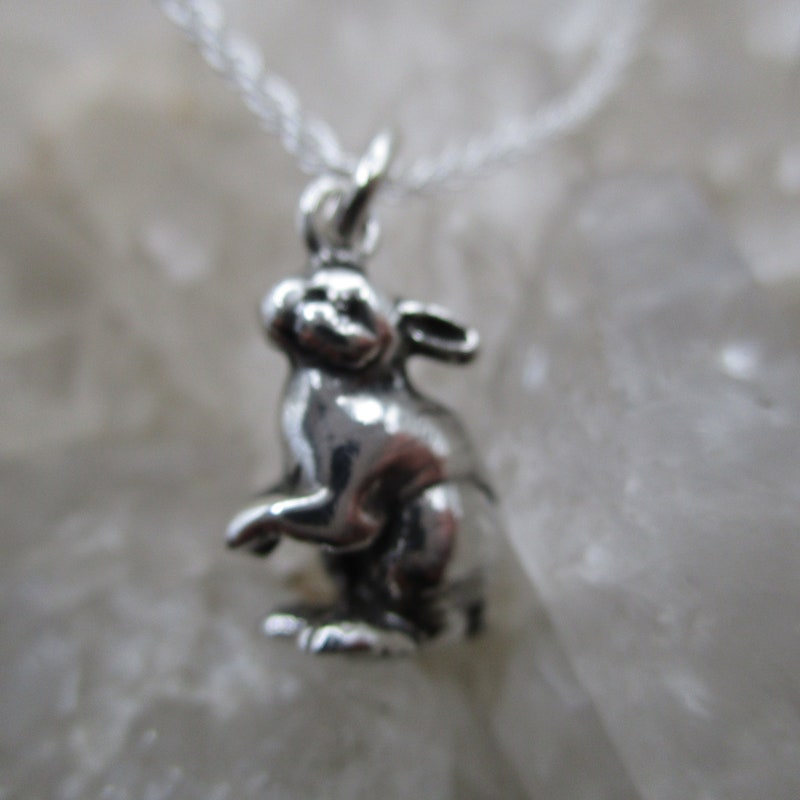Rabbit Necklace - Etsy