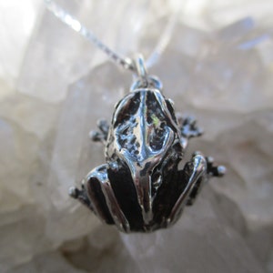 Detailed Frog Necklace -Hand Cast Sterling Silver- 18&quot; Sterling Silver Chain