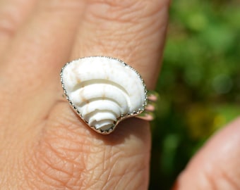 Handgemaakte sterlingzilveren ring met een FL-zeeschelp/maat 10