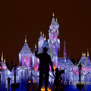 Walt Disney and Mickey Mouse Christmas Silhouette - Fine Art Photographic Print - Disney Christmas Gift